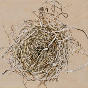 Trine Bumiller Sheltering 24 watercolor o/panel 12 x 12"