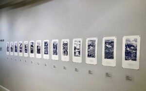 Trine Bumiller Glacier Project Fort Collins Art Museum Installation