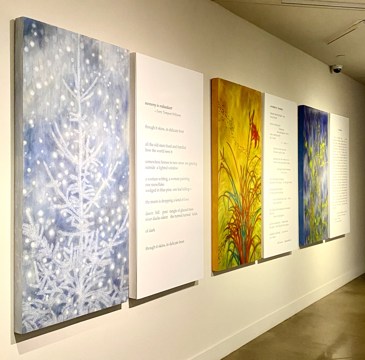 Poem Paintings, Installation 2, Arvada Center, Arvada, CO